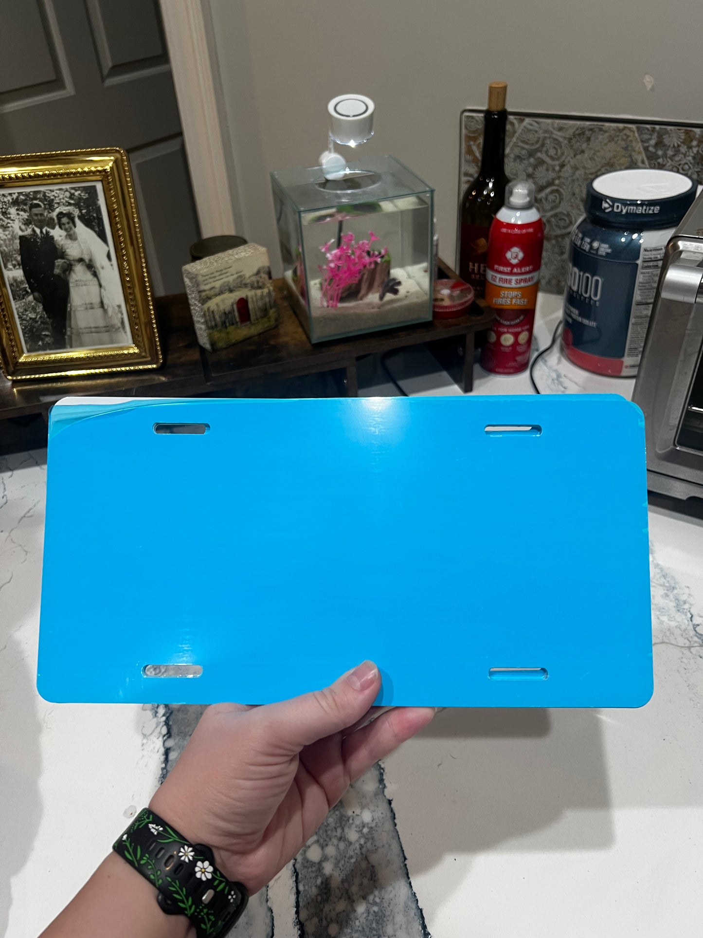 RTP car license plate