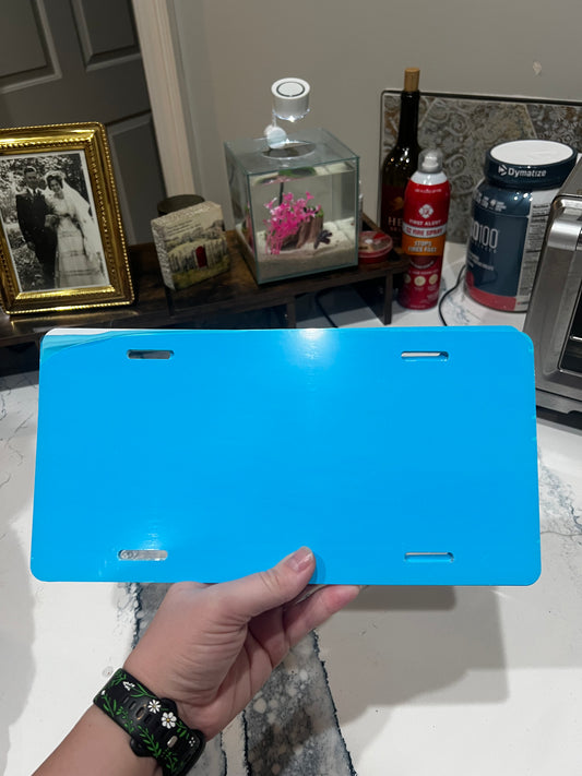 RTP car license plate